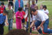 newly planted pollinator garden